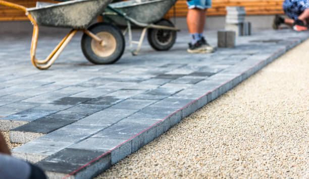 Best Asphalt Driveway Installation in Fife, WA